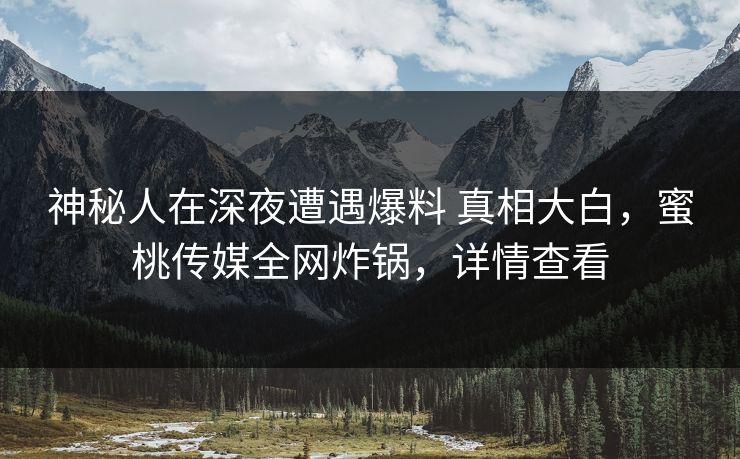 神秘人在深夜遭遇爆料 真相大白，蜜桃传媒全网炸锅，详情查看