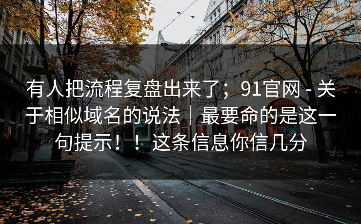 有人把流程复盘出来了；91官网 - 关于相似域名的说法｜最要命的是这一句提示！！这条信息你信几分