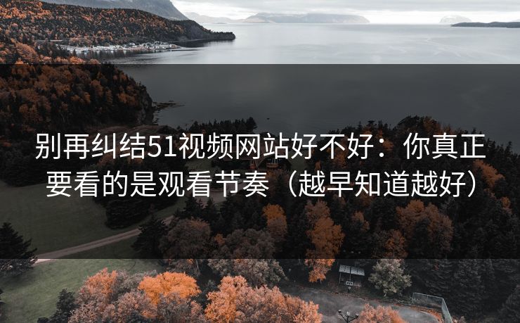 别再纠结51视频网站好不好：你真正要看的是观看节奏（越早知道越好）